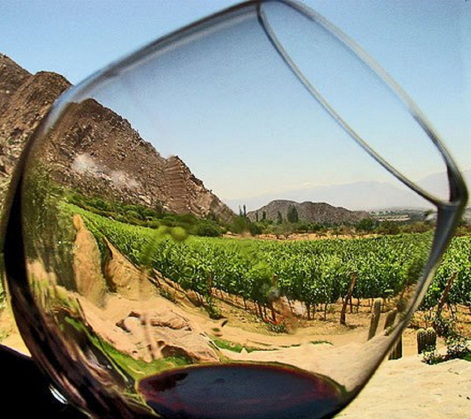 La Ruta del Vino del Valle de Guadalupe, un paraíso vinícola