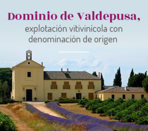 Dominio de Valdepusa, explotación vitivinícola con denominación de origen